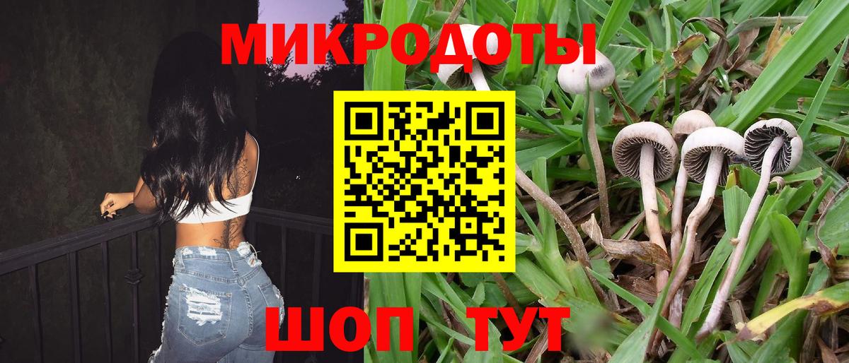 Трёхгорный  Галлюциногенные грибы GOLDEN TEACHER  Псилоцибиновые грибы мухоморы  Вход с VPN 